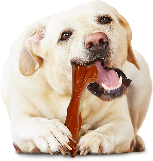 Nylabone Power Chew Bison Bone Alternative Nylon Chew Toy for Dogs, Dog Toys for Aggressive Chewers, Bison Flavor, Large/Giant (1 Count)