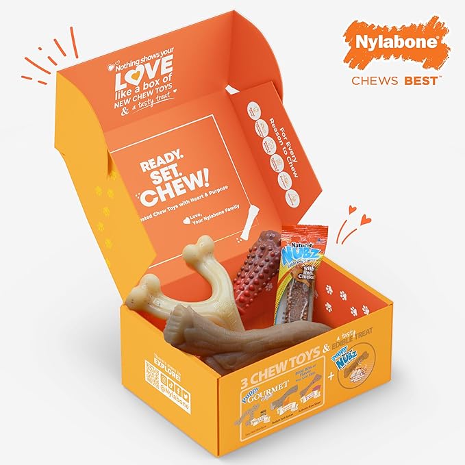 Nylabone Dog Toy Gift Box, includes 3 Strong Chew Toys and 1 Dog Treat, Chew Toys for Large Dogs, Large/Giant (4 Count)