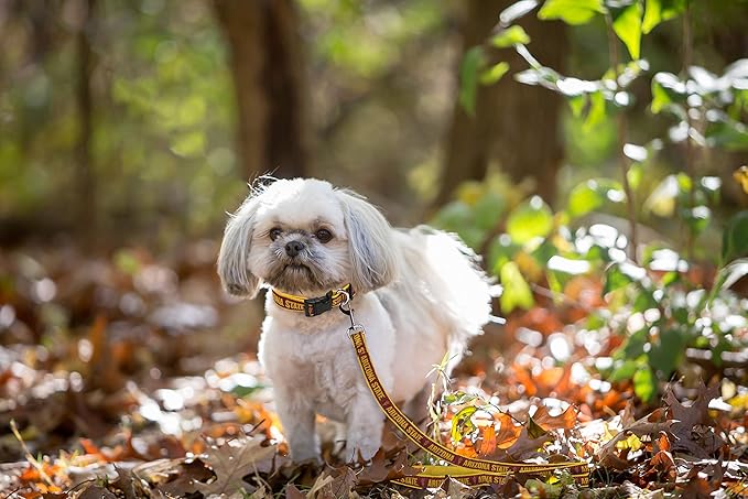 Pets First Collegiate Pet Accessories, Dog Leash, Arizona State Sun Devils, Medium