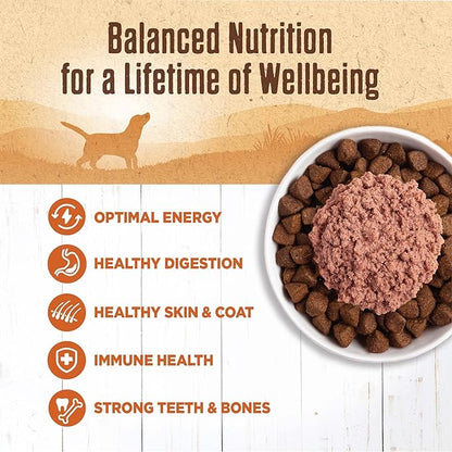 Wellness 95% Turkey Natural Wet Grain Free Canned Dog Food, 13.2-Ounce Can (Pack of 12)