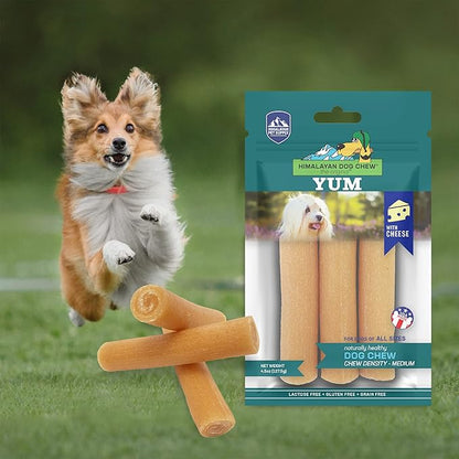 Himalayan Dog Chew Yak Cheese Dog Chews, 100% Natural, Long Lasting, Gluten Free, Healthy & Safe Dog Treats, Lactose & Grain Free, Protein Rich, Medium, 4.5 oz