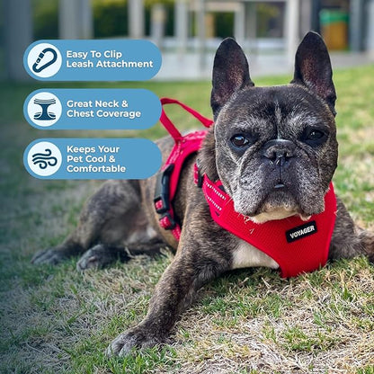 Best Pet Supplies Voyager Adjustable Dog Harness with Reflective Stripes for Walking, Jogging, Heavy-Duty Full Body No Pull Vest with Leash D-Ring, Breathable All-Weather - Harness (Red), S