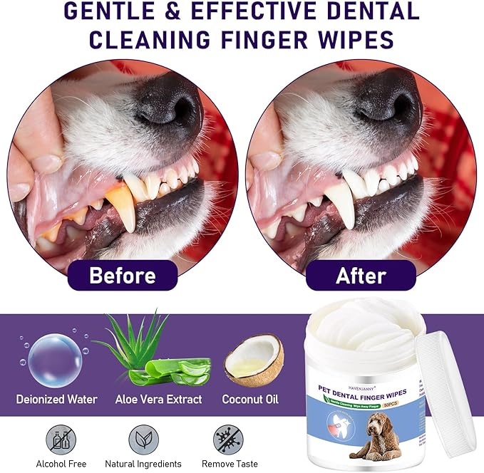 HavenJanny 50pcs Pet Teeth Cleaning Wipes for Dogs and Cats, Dog Dental Wipes for Reducing Plaque and Freshening Breath, Disposable Gentle Cleaning and Gum Care Pet Wipes