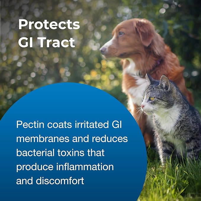 Pet-Ag Pet Pectillin Anti-Diarrheal - 4 oz, Pack of 3 - Helps Relieve Diarrhea or Loose Stool in Dogs and Cats - Replaces Lost Electrolytes - Easy to Administer