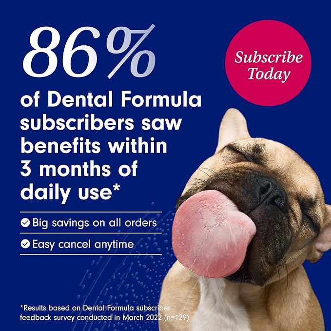 Petlab Co. Dog Dental Formula - Keep Dog Breath Fresh and Teeth Clean - Supports Gum Health - Water Additive Dental Care Targets Tartar - Packaging May Vary