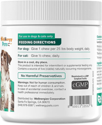 Wellnergy Daily Probiotic & Prebiotics Soft Chew for Dogs & Cats - Digestive Support for Diarrhea, Constipation, Upset Stomach, Indigestion & Gas - Helps Digestion, Allergy Skin & Immune Health 70ct