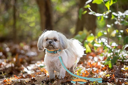 NFL PET Leash, Medium, Miami Dolphins Dog Leash, Football Team Leash for Dogs & Cats. A Shiny & Colorful Dog & Cat Leash with Embroidered Team Name/Logo Licensed by the NFL