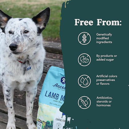 Ancestry Dog Food, Lamb Meal & Brown Rice Formula, Crude Protein, Fiber & Fat, For All Life Stages, Wholesome Grains Dry Dog Food, Support Skin & Coat, Improve Gut Health, Immune Support (12 lb. Bag)