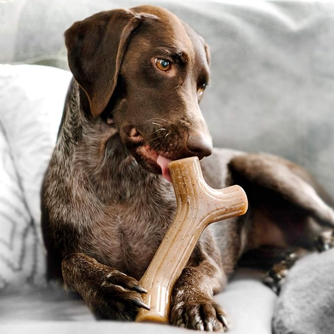 Benebone Bacon Stick Durable Dog Chew Toy for Aggressive Chewers, Real Bacon, Made in USA, Large