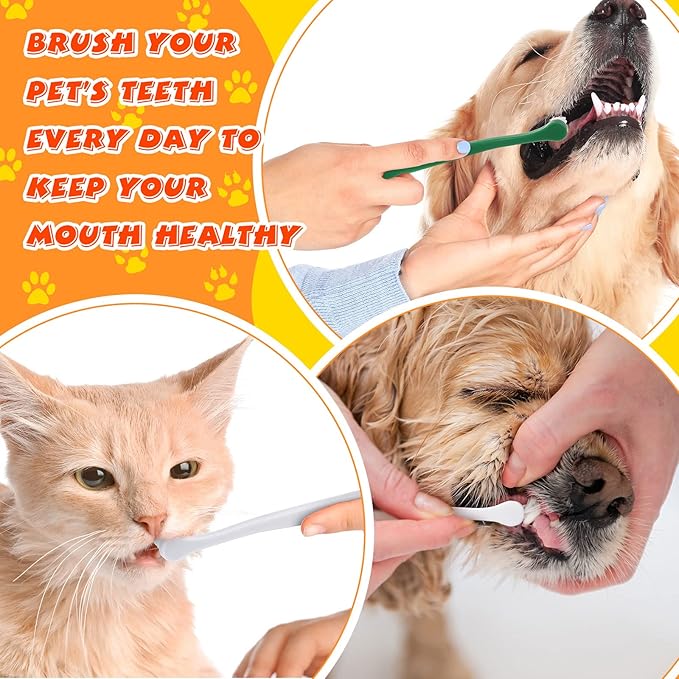 Yinder 12 Pcs Cat Toothbrush Small Dog Toothbrush Mini Head Soft Bristles Dog Tooth Brush Gentle Pet Toothbrush Long Handle Tooth Brush for Puppy Cats Large and Small Dog Dental Care (2 Colors)