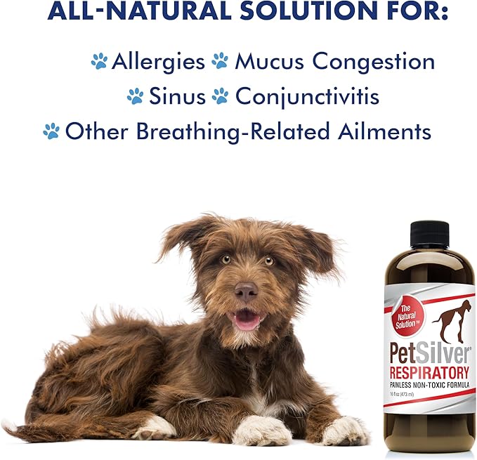 PetSilver Immune Support Supplement, Promotes Respiratory Health in Cats and Dogs, Helps Cough & Allergies, Nebulizer Solution, All Natural Dog Allergy Relief, Patented Chelated Silver, 16 oz