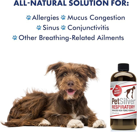 PetSilver Immune Support Supplement, Promotes Respiratory Health in Cats and Dogs, Helps Cough & Allergies, Nebulizer Solution, All Natural Dog Allergy Relief, Patented Chelated Silver, 16 oz