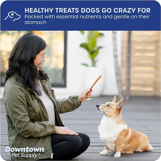 Downtown Pet Supply USA Sourced Thin Junior Bully Sticks (12" - 1 LB) - Bully Sticks for Small Dogs and Puppies- Single Ingredient Long Lasting Dog Dental Treats