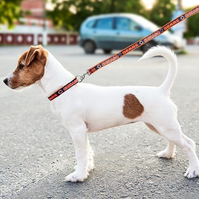 NFL PET Leash Chicago Bears Dog Leash, Small Football Team Leash for Dogs & Cats. A Shiny & Colorful Cat Leash & Dog Leash Licensed by The NFL