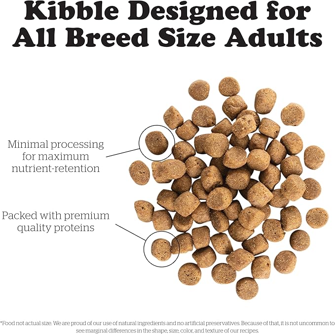 Now Fresh Grain Free Puppy Food, 3.5 lb and Now Fresh Grain Free Adult Dog Food, 22 lb – with Real Meat and Fish for Protein
