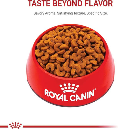 Royal Canin French Bulldog Puppy Dry Dog Food, 10.5 lb Bag