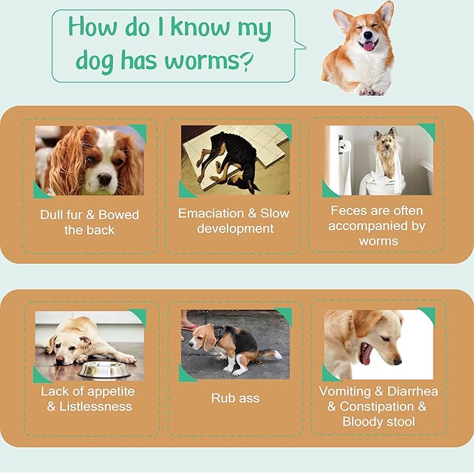 Flea and Tick Prevention for Dogs, Flea and Tick Treatment for Small Dog, Natural Essential Oil, Flea & Tick Control, 5-22 Pounds, 3 Doses