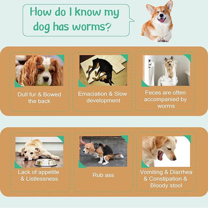 Flea and Tick Prevention for Dogs, Flea and Tick Treatment for Small Dog, Natural Essential Oil, Flea & Tick Control, 5-22 Pounds, 3 Doses