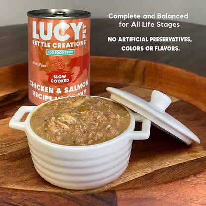 Lucy Pet Chicken & Salmon Recipe in Gravy for Dogs 12.5oz (12 Count)