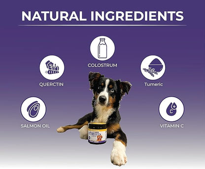 Pet Allergy and Itch Relief, Dog Allergy Chews, Intermittent Itchiness, Pet Probiotic, Seasonal Allergies - Anti Itch Support