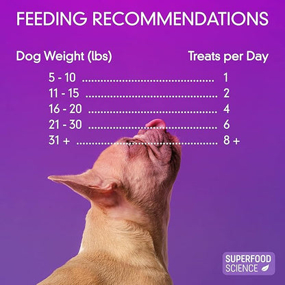 Organic Dog Treats for Small, Medium, and Large Breeds, Semi-Soft Organic Turkey Dog Training Jerky Snack Bites, All-Natural & Gluten-Free, Immunity & Hypoallergenic recipe, 5 oz