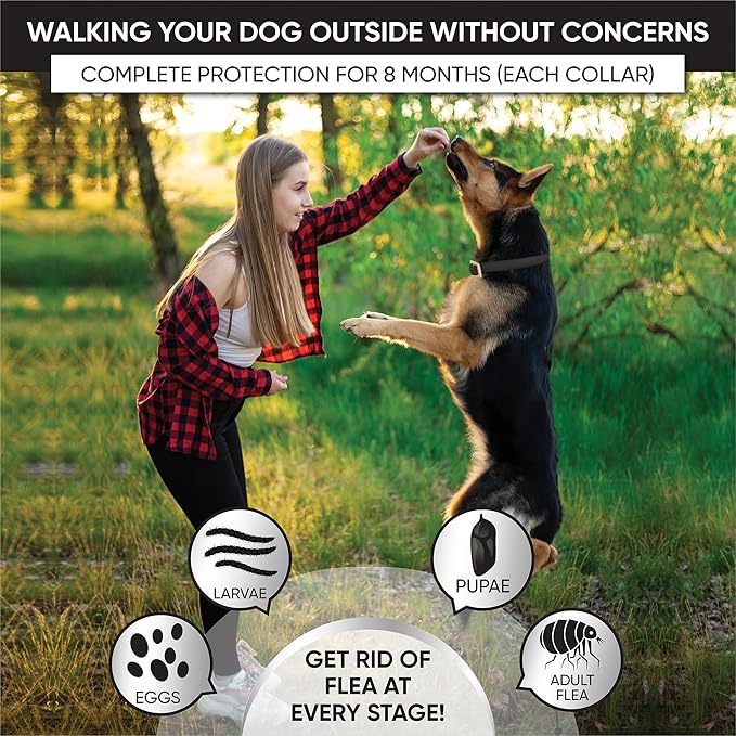 4 Pack Flea Collar for Dogs, Advanced Dog Flea Collar, Flea and Tick Collar for Dogs, Tick Collar for Dogs, Dog Flea and Tick Collar, Dog Tick Collar, Color: Black