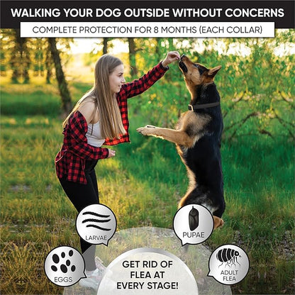 4 Pack Flea Collar for Dogs, Advanced Dog Flea Collar, Flea and Tick Collar for Dogs, Tick Collar for Dogs, Dog Flea and Tick Collar, Dog Tick Collar, Color: Black