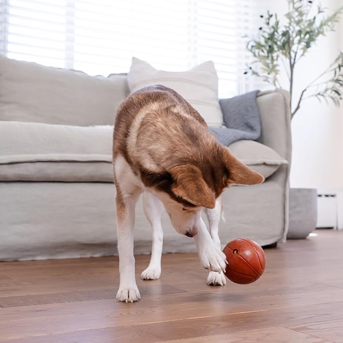 Outward Hound Sport Ballz Basketball Durable Treat-Dispensing Fetch Ball Dog Toy