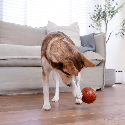 Outward Hound Sport Ballz Basketball Durable Treat-Dispensing Fetch Ball Dog Toy