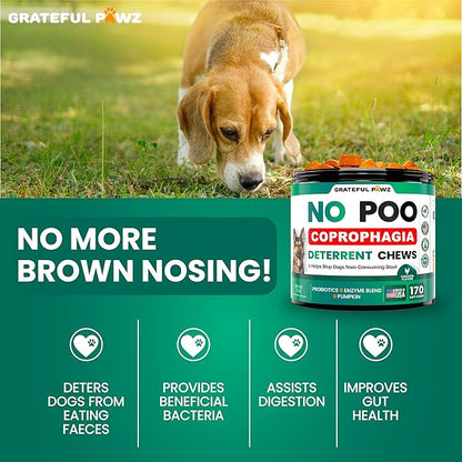 No Poo Chews For Dogs - 170 Chews - Coprophagia Stool Eating Deterrent for Dogs - Prevent Dog from Eating Poop - Stop Eating Poop for Dogs Supplement - Forbid for Dogs - Probiotics & Digestive Enzymes