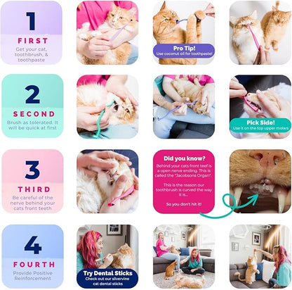 RYERCAT Dual Sided Cat Toothbrush - Kitten Toothbrush with Micro Head to fit into Cat/Kittens Mouth - Cat Dental Care Supplies - Pet Toothbrush for Cats (Smudgelord)