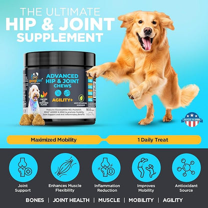Googipet Hip and Joint Supplement for Dogs - Glucosamine for Dogs – Soft Chews w/Green Lipped Mussels for Dogs, Turmeric for Dog Arthritis, Pain Relief, & Mobility, Ages, & Breeds