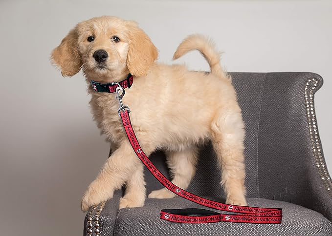 MLB PET Leash, Small, Washington Nationals Dog Leash, Baseball Team Leash for Dogs & Cats. A Shiny & Colorful Dog & Cat Leash with Emboridered Team Name/Logo Licensed by the MLB
