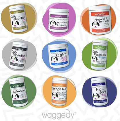 waggedy Daily Essentials Adult Soft Chews — Dog Multivitamin & Immune System Supporter — Dog Nutritional Supplement — Small/Large Dog Supplements & Vitamins (60 Chews)