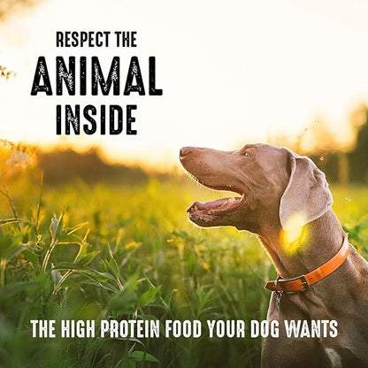 CRAVE Grain Free High Protein Adult Dry Dog Food with Lamb, 4 lb. Bag