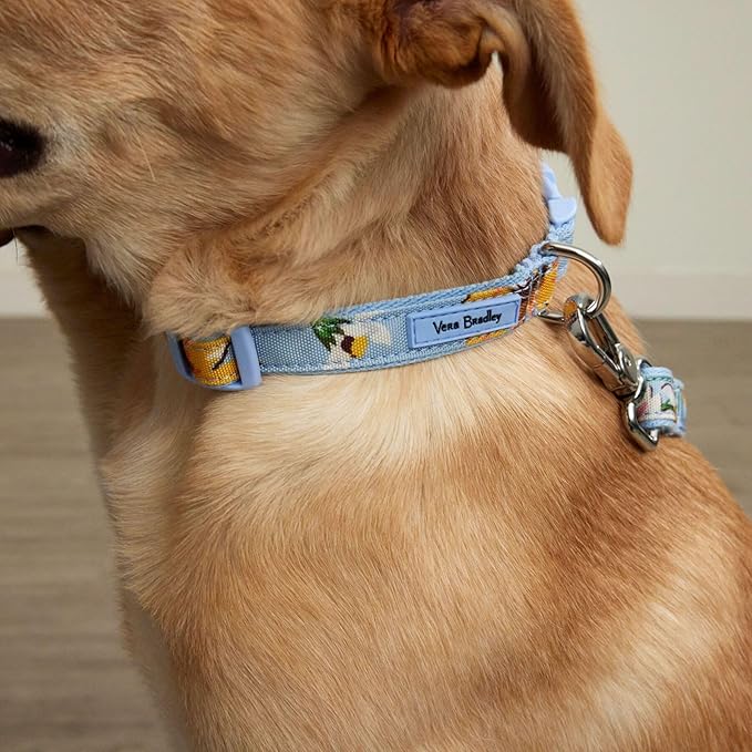 Vera Bradley Women's Recycled Lighten Up Water-repellent Pet Leash, Sunflower Sky, Medium