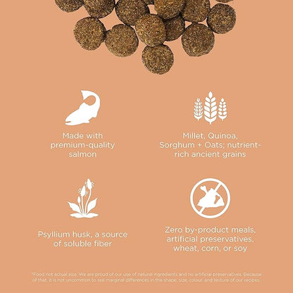 GO! SOLUTIONS Digestion + Gut Health Salmon Recipe with Ancient Grains for Dogs, 3.5 Lb Bag - Dry Food for All Life Stages, Including Puppies, Adult and Senior Dogs