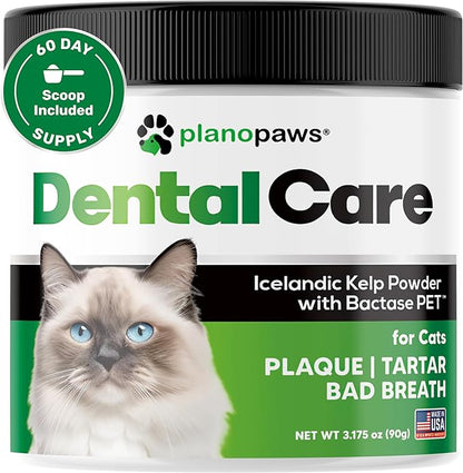 Cat Dental Care Powder - Easier Than Cat Toothpaste - Cat Dental Treat Alternative to Get Plaque Off - Cat Teeth Cleaning Powder with Bactase PET - Cat Breath Freshener for Cat Bad Breath - Oral Care
