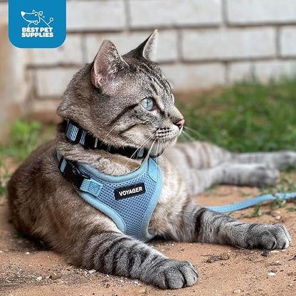 Voyager Step-in Lock Dog Harness w Reflective Dog Leash Combo Set with Neoprene Handle 5ft - Supports Small, Medium and Large Breed Puppies/Cats by Best Pet Supplies - Turquoise/Black Trim, XS