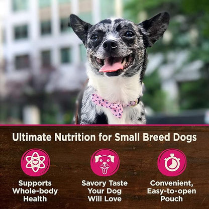 Wellness CORE Mini Meals Grain Free Small Breed Dog Wet Food 3oz Pate Chicken Entree, Chunky Chicken and Liver, Shredded Chicken Turkey Dinner in Gravy 3 Flavors 6 Pack Plus Newspaper Plush Dog Toy