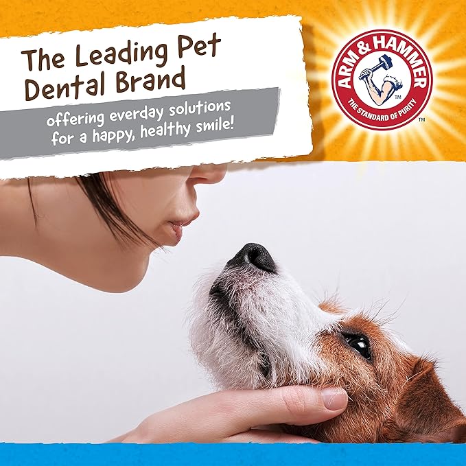 Arm & Hammer for Pets Nubbies Dental Toys Gator Dental Chew Toy for Dogs | Best Dog Chew Toy for Moderate Chewers | Reduces Plaque & Tartar Buildup Without Brushing, Gator