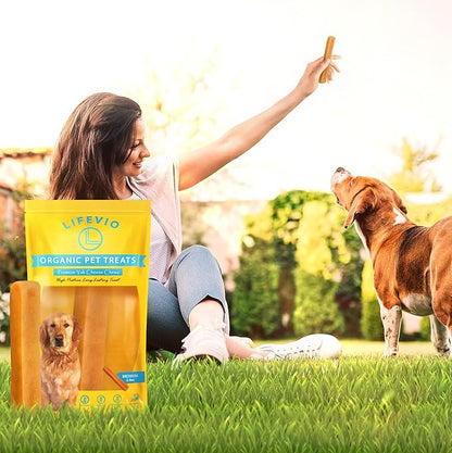 Medium Himalayan Yak Cheese Dog Chews, Medium (1 Stick) Long Lasting, 100% Natural with Pink Salt and Lime Juice for All Dogs