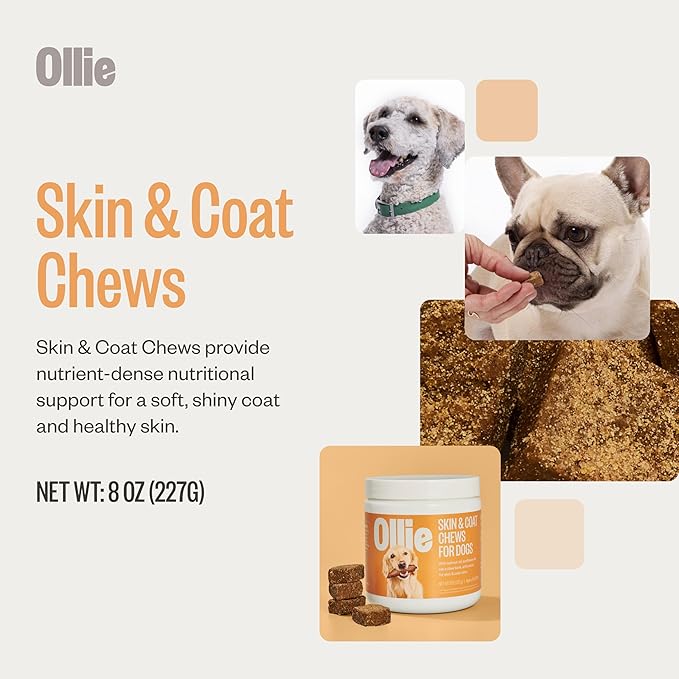 Ollie Dog Skin & Coat Supplement - Soothes Irritated Skin - Promotes Healthy & Shiny Fur & Coat - 60 Count Appx.