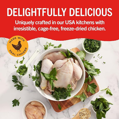 Stella & Chewy's Dental Delights with Freeze-Dried Chicken - Small Dental Treats for Dogs, Single Serve