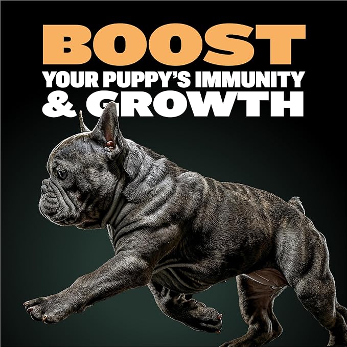 Bully Max Wet Puppy Food - Dehydrated High Protein Dog Food with Chicken - Growth & Immune Support for Small & Large Breed Puppies - 20 Dry Dog Food Pounds (Makes 55 lbs. of Wet Dog Food, 10 Pouches)