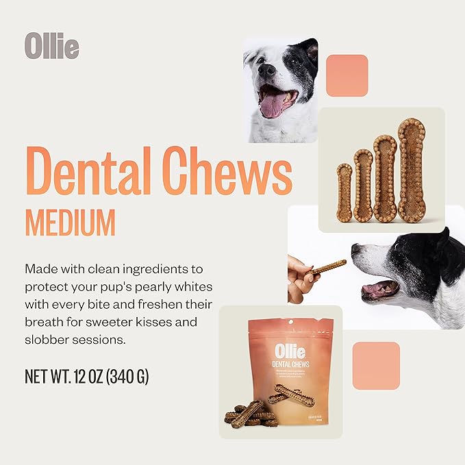 Ollie Dental Chews for Dogs Medium -Dog Breath Treats - Dog Teeth Cleaning Treat - Dental Sticks for Dogs - Fresh Breath for Dogs - Dental Treats for Dogs -Dog Dental Care - 12 Oz.