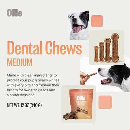Ollie Dental Chews for Dogs Medium -Dog Breath Treats - Dog Teeth Cleaning Treat - Dental Sticks for Dogs - Fresh Breath for Dogs - Dental Treats for Dogs -Dog Dental Care - 12 Oz.