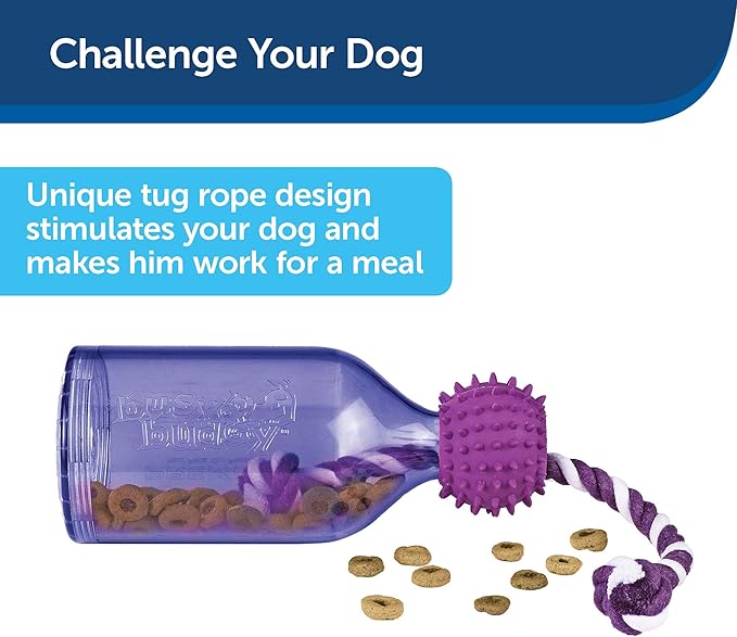 PetSafe Busy Buddy Tug-A-Jug Dog Toy – Slow Feeder and Trainer – Small