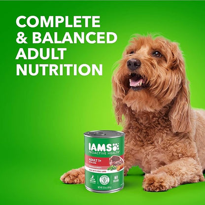 Iams Proactive Health Wet Dog Food, Lamb Chunks in Gravy, 13 oz., Pack of 12