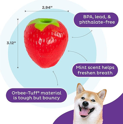 Outward Hound Foodies Carrot Strawberry Treat-Dispensing Dog Chew Toy, Pink